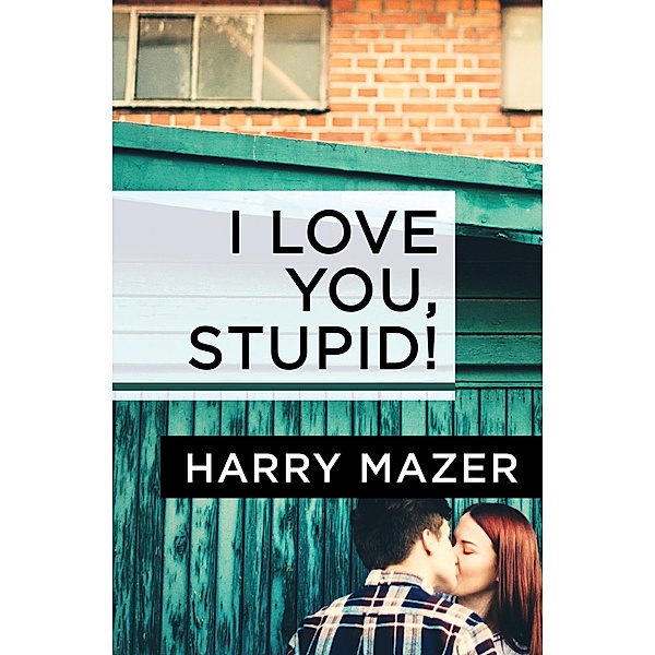 I Love You, Stupid!, Harry Mazer