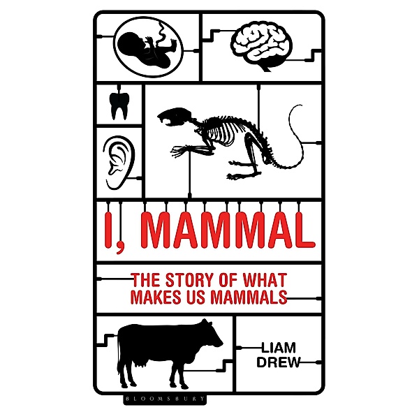 I, Mammal, Liam Drew