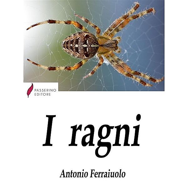 I ragni, Antonio Ferraiuolo
