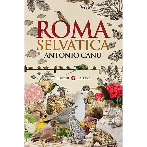 i Robinson / Letture: Roma selvatica, Antonio Canu
