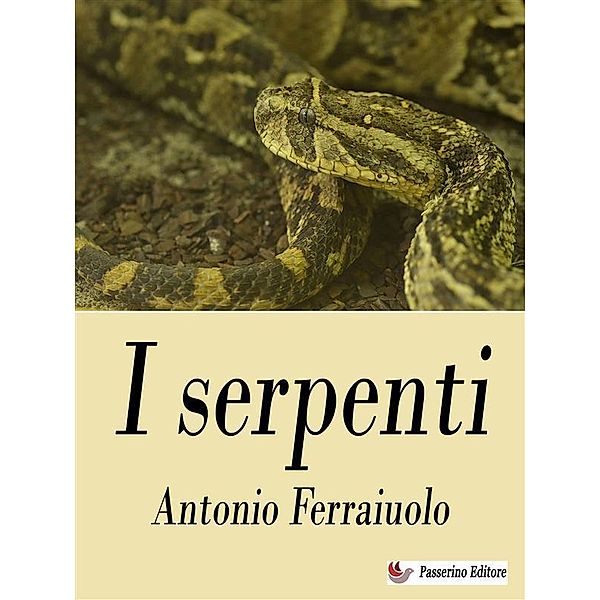 I serpenti, Antonio Ferraiuolo