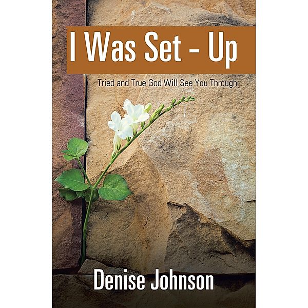 I Was Set - Up, Denise Johnson