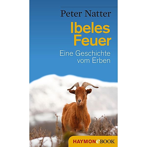 Ibeles Feuer / Ibele-Krimi Bd.2, Peter Natter