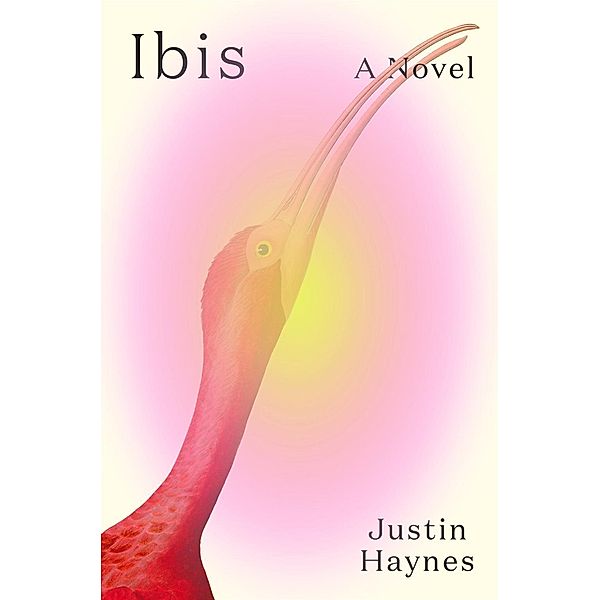 Ibis, Justin Haynes