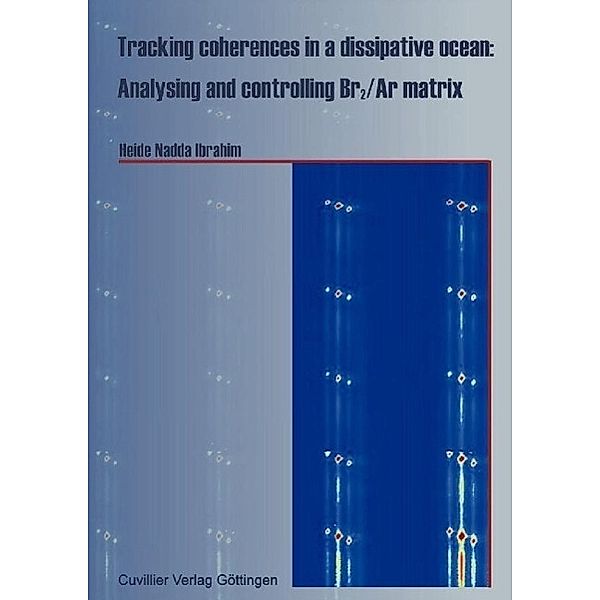 Ibrahim, H: Tracking coherences in a dissipative ocean:, Heide Nadda Ibrahim