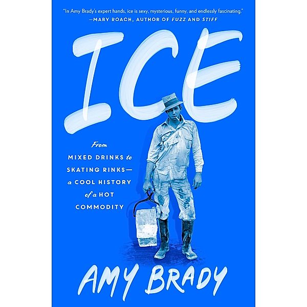 Ice, Amy Brady