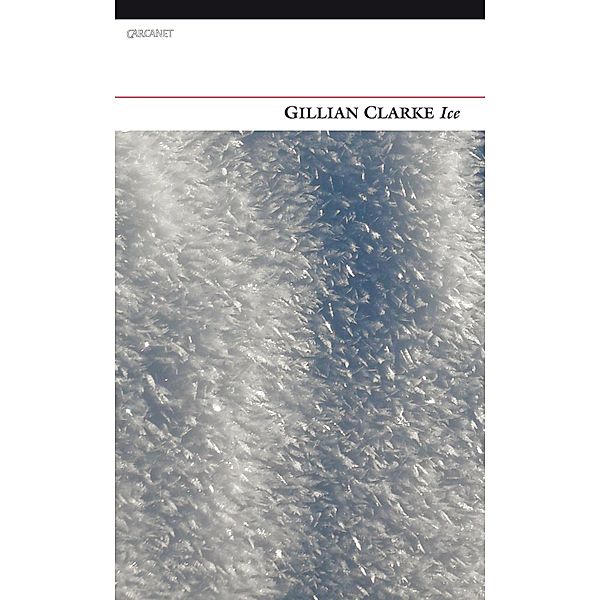 Ice, Gillian Clarke