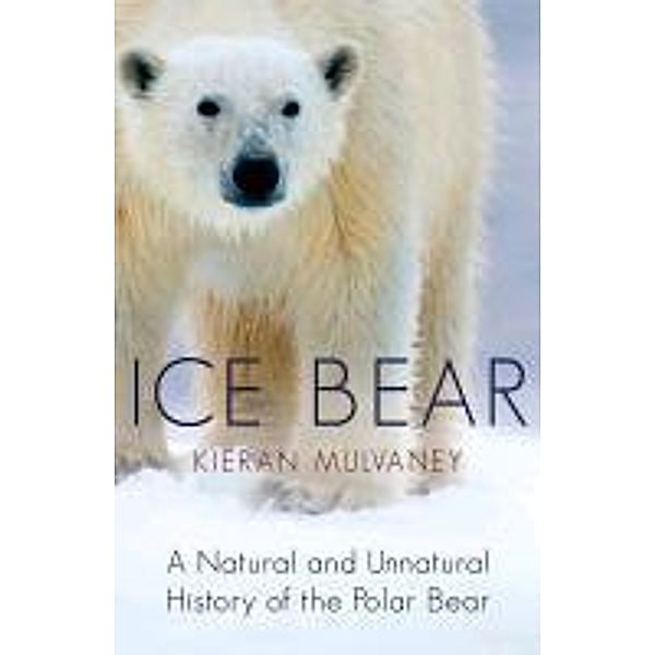 Ice Bear, Kieran Mulvaney