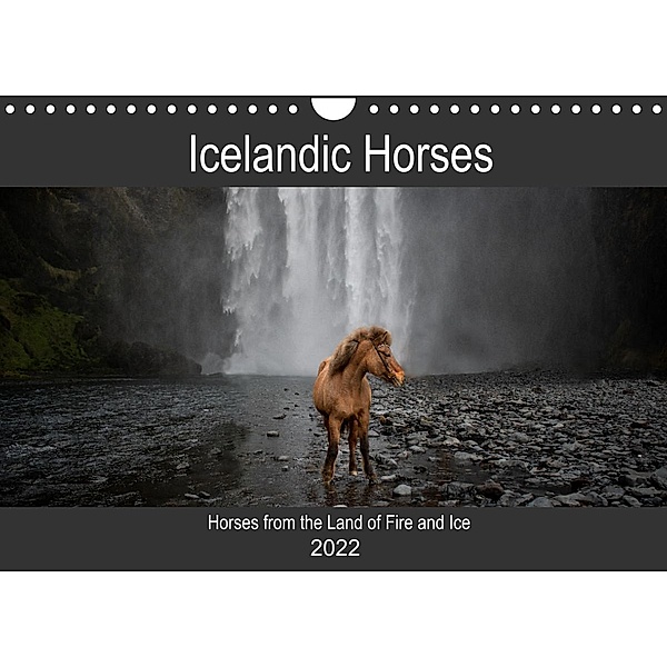 Icelandic horses - in the Land of Fire and Ice (Wall Calendar 2022 DIN A4 Landscape), Alexandra Voth