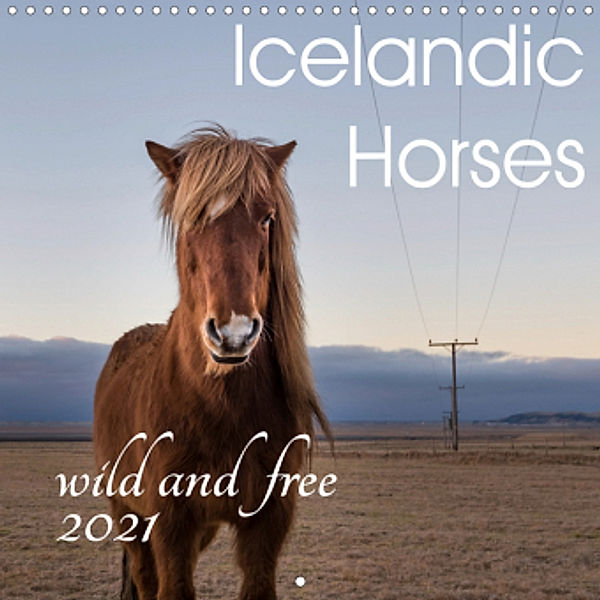 Icelandic Horses - wild and free (Wall Calendar 2021 300 × 300 mm Square), Irma van der Wiel - www.kalender-atelier.de