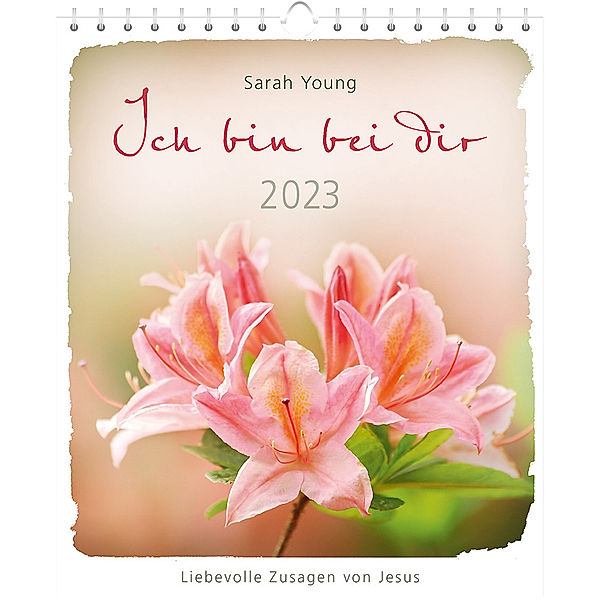 Ich bin bei dir 2023 - Postkartenkalender, Sarah Young