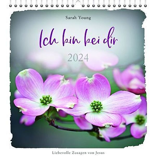 Ich bin bei dir 2024 - Postkartenkalender, Sarah Young