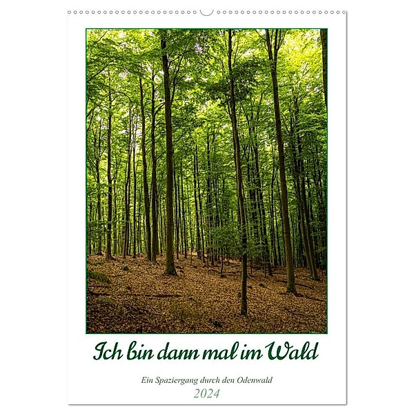 Ich bin dann mal im Wald (Wandkalender 2024 DIN A2 hoch), CALVENDO Monatskalender, Peter Krieger