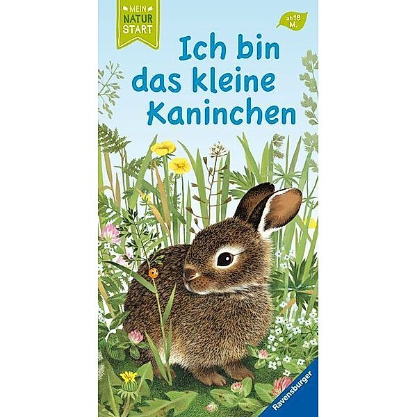 Ich bin das kleine Kaninchen, Gerlinde Wiencirz