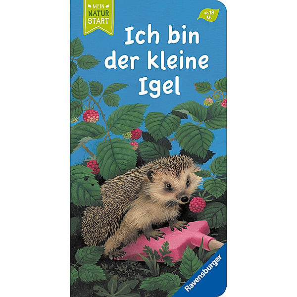 Ich bin der kleine Igel, Gisela Stottele