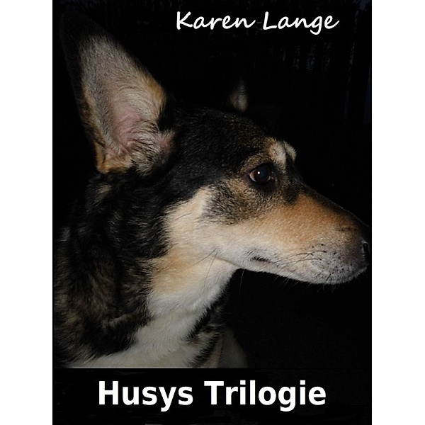 Ich bin Husy: Husys Trilogie, Karen Lange