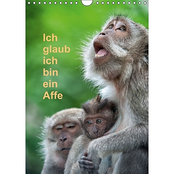 Ich glaub ich bin ein Affe (Wandkalender 2014 DIN A4 hoch), Dieter Gödecke