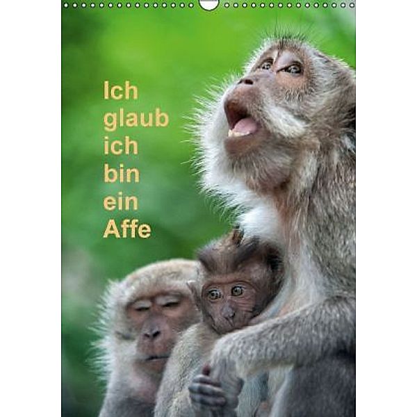 Ich glaub ich bin ein Affe (Wandkalender 2016 DIN A3 hoch), Dieter Gödecke