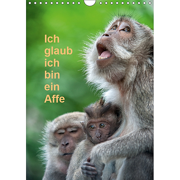 Ich glaub ich bin ein Affe (Wandkalender 2019 DIN A4 hoch), Dieter Gödecke