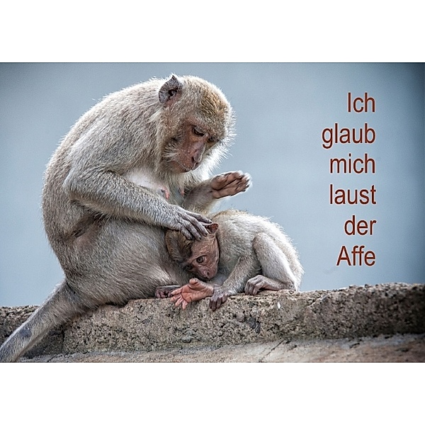 Ich glaub mich laust der Affe (Posterbuch DIN A3 quer), Dieter Gödecke