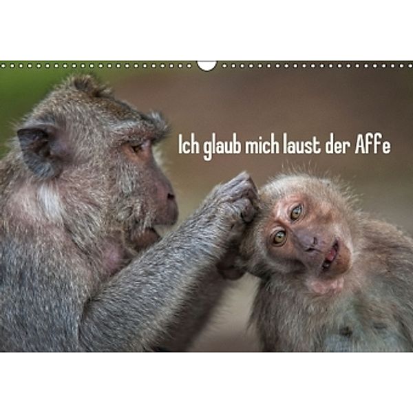 Ich glaub mich laust der Affe (Wandkalender 2015 DIN A3 quer), Dieter Gödecke