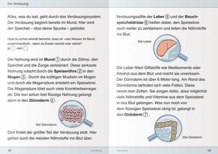 Kommandant einsam es kann diät für die leber typo3center.at