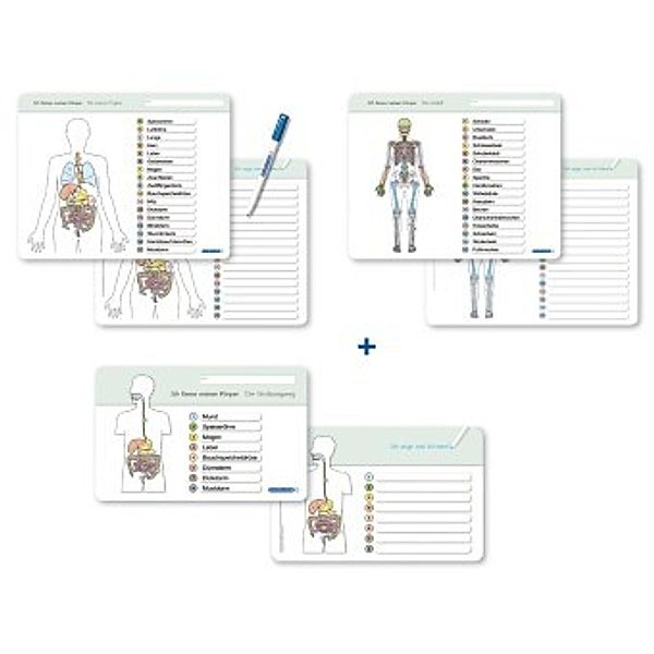 Ich kenne meinen Körper - Organe / Skelett / Verdauung- 3 Tafeln im Set mit Stift, Katrin Langhans