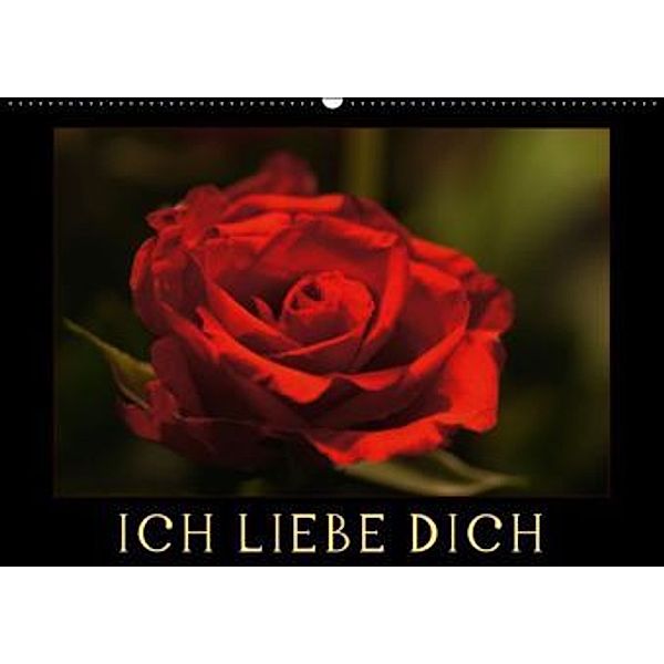 Ich liebe Dich (Wandkalender 2015 DIN A2 quer), Cathrin Kaden