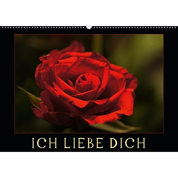 Ich liebe Dich (Wandkalender 2020 DIN A2 quer), Cathrin Kaden