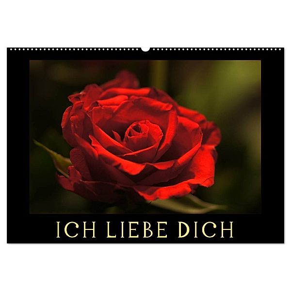 Ich liebe Dich (Wandkalender 2024 DIN A2 quer), CALVENDO Monatskalender, Cathrin Kaden