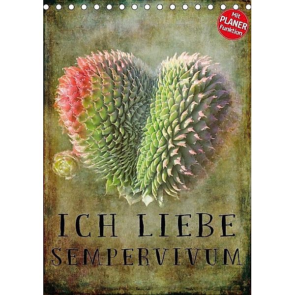 Ich liebe Sempervivum (Tischkalender 2017 DIN A5 hoch), Martina Cross