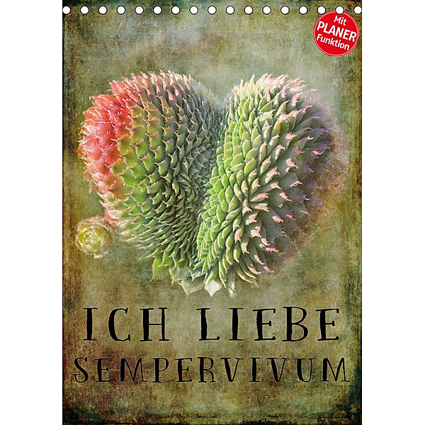 Ich liebe Sempervivum (Tischkalender 2019 DIN A5 hoch), Martina Cross