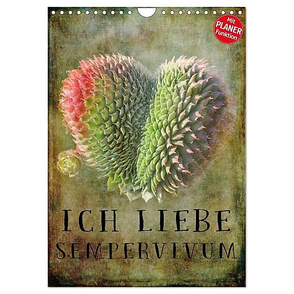 Ich liebe Sempervivum (Wandkalender 2024 DIN A4 hoch), CALVENDO Monatskalender, Martina Cross