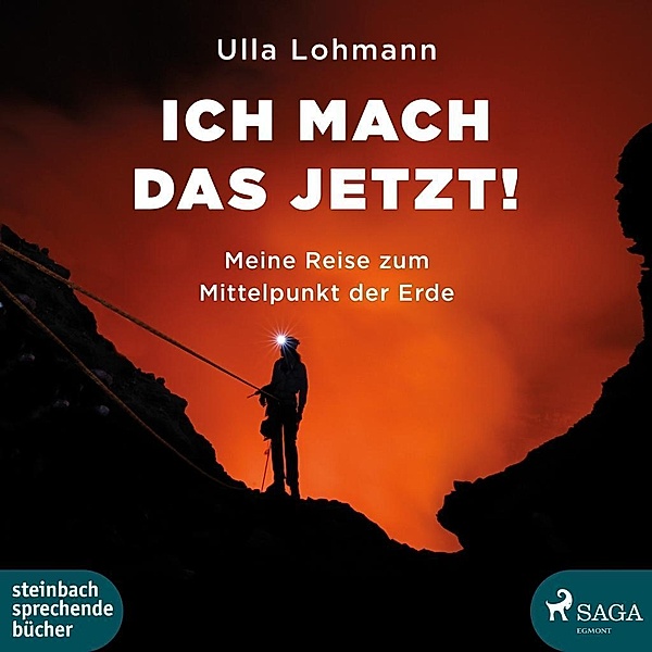Ich mach das jetzt!, 1 MP3-CD, Ulla Lohmann