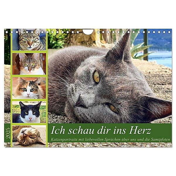 Ich schau dir ins Herz (Wandkalender 2025 DIN A4 quer), CALVENDO Monatskalender, Calvendo, Michaela Schimmack