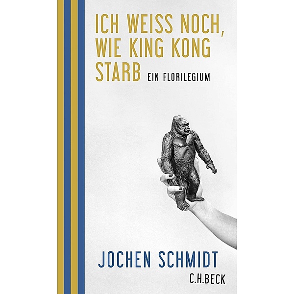 Ich weiss noch, wie King Kong starb, Jochen Schmidt