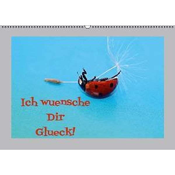 Ich wünsche Dir Glück! (Wandkalender 2016 DIN A2 quer), Heike Hultsch