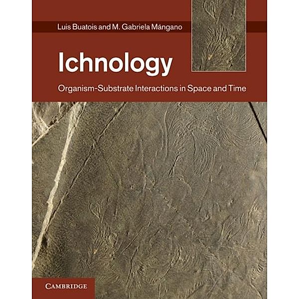 Ichnology, Luis A. Buatois