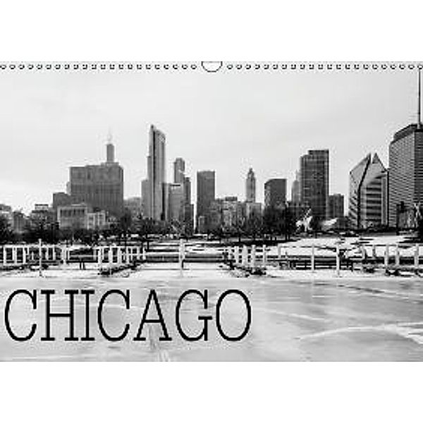 Icy Chicago (Wandkalender 2016 DIN A3 quer), David Stein