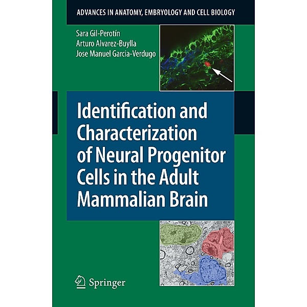 Identification and Characterization of Neural Progenitor Cells in the Adult Mammalian Brain, Sara Gil-Perotín, Jose Manuel Garcia-Verdugo, Arturo Alvarez-Buylla