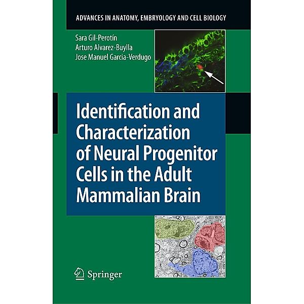 Identification and Characterization of Neural Progenitor Cells in the Adult Mammalian Brain / Advances in Anatomy, Embryology and Cell Biology Bd.203, Sara Gil-Perotín, Arturo Alvarez-Buylla, Jose Manuel Garcia-Verdugo