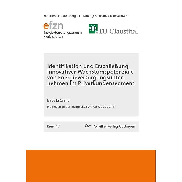 Identifikation und Erschließung innovativer Wachstumspotenziale von Energieversorgungsunternehmen im Privatkundensegment