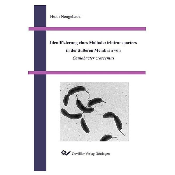 Identifizierung eines Maltodextrintransporters in der äußeren Membran von Caulobacter crescentus
