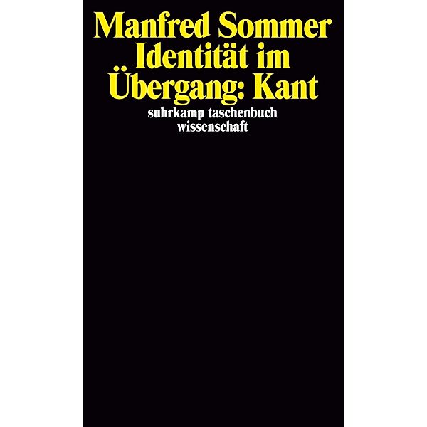 Identität im Übergang: Kant, Manfred Sommer