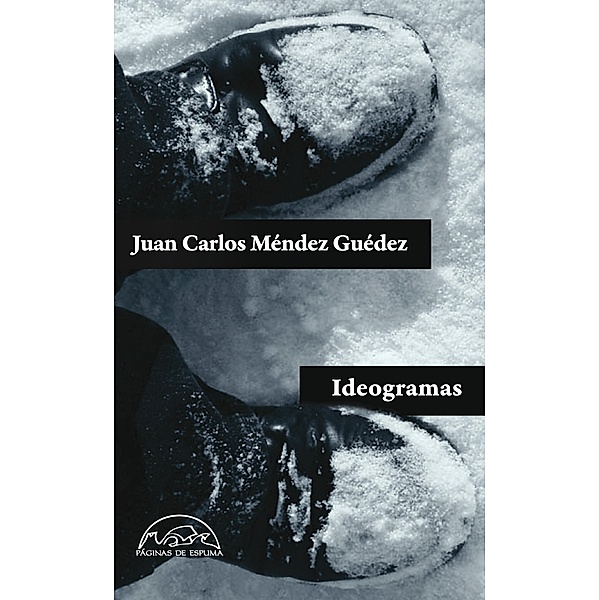 Ideogramas / Voces / Literatura Bd.173, Juan Carlos Méndez Guédez