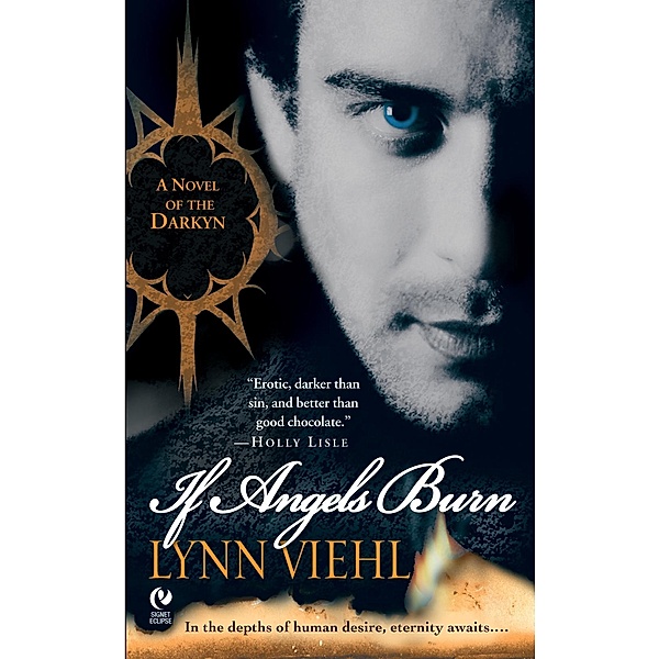 If Angels Burn / Novel Of The Darkyn Bd.1, Lynn Viehl