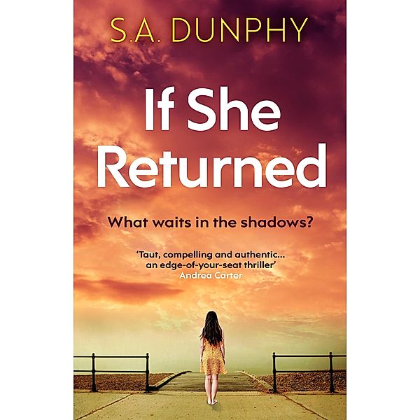 If She Returned / David Dunnigan Bd.3, S. A. Dunphy