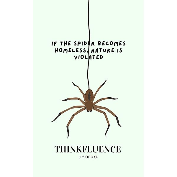 If the Spider Becomes Homeless, Nature is Violated, J Y Opoku