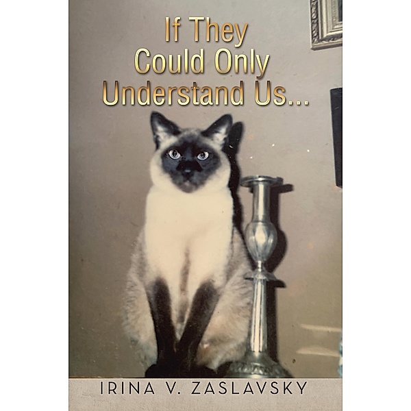 If They Could Only Understand Us..., Irina V. Zaslavsky