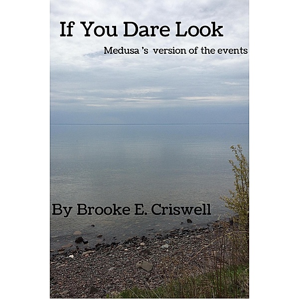 If You Dare Look, Brooke E. Criswell